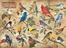 Cobble Hill Popular Backyard Wild Birds of N.A. 1000 Piece Jigsaw Puzzle