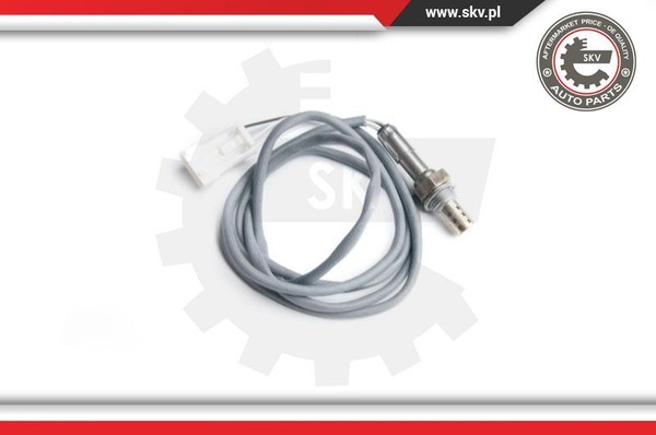 Esen SKV Lambdasonde Diagnosesonde FüR CitroëN C5 I Peugeot 406 Break DC 8E/F-image