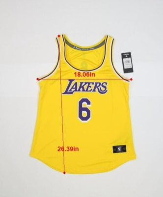 LA Lakers Lebron James Fanatics #6 Fastbreak Tank Top Jersey