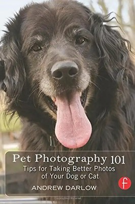 Pet Photography 101: Tips for Taking Better Photos of Your Dog or Cat