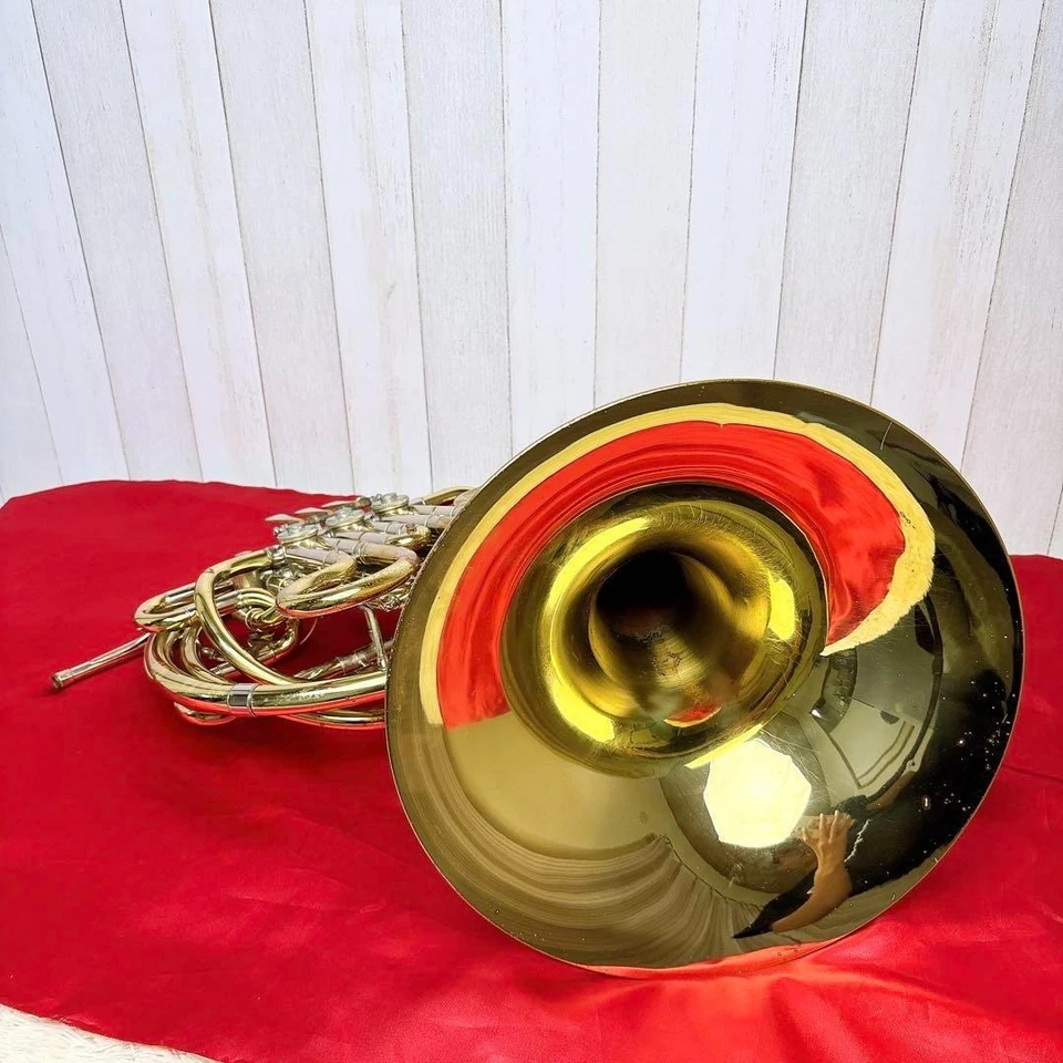 Cuerno doble completo Holton H378 Foto 2 de 4