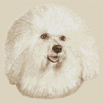 Bichon Frise Hund Kreuzstich Design (Sepia, 10''x10'', 25x25cm, Kit oder Tabelle)