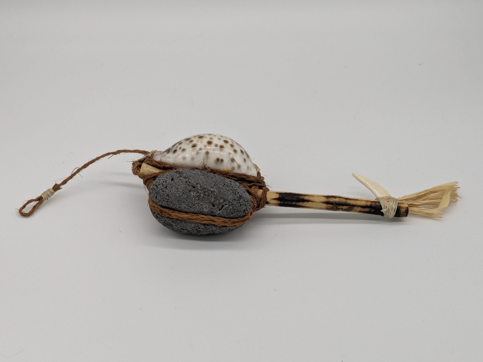 Rare Vintage Hawaiian Traditional Octopus Lure 14 1/4" Cowrie Fishing