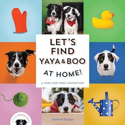 Andrew Knapp - Let's Find Yaya and Boo at Home!   A Hide-and-Seek  - H245z