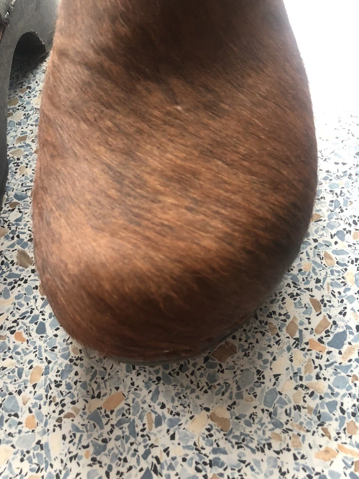 Clogs mit Kuhfell - made in Holland - Größe 45 - Zustand: gut - Bild 3 von 4