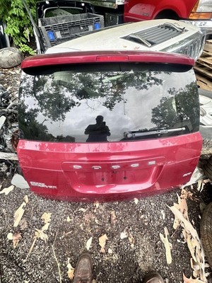 2011 - 2020 CARAVAN Liftgate Tailgate Rear Door Privacy Tint RED PRP OEM