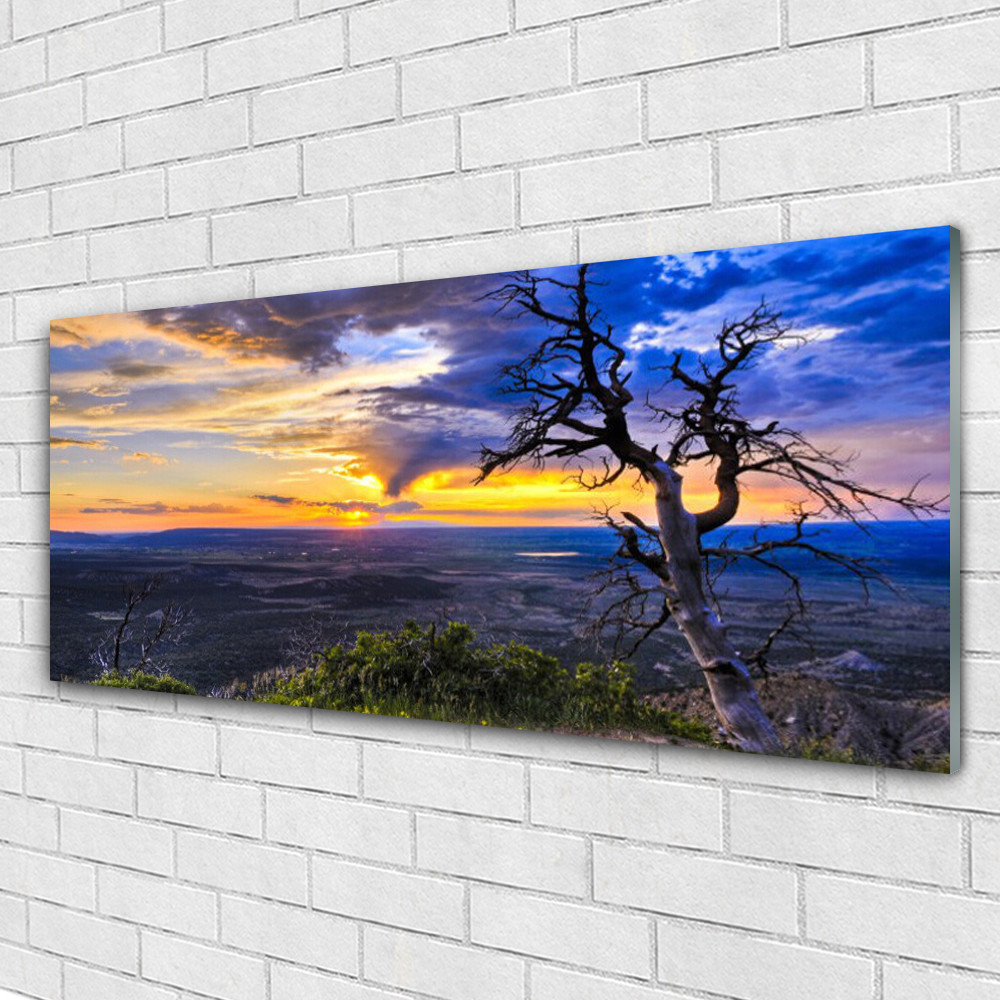 Tableaux 125x50 Paysage Arbre en verre pour illuminer un mur sombre