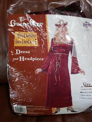 Lady Guinevere Costume Dress Renaissance Medieval Queen - Size Medium | eBay