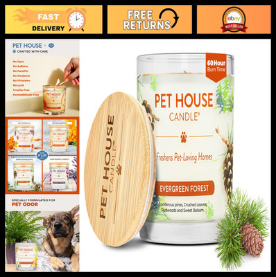 Plant-Based Scented Candle for Pet Odor, Clean Burning, Long Lasting, Evergreen