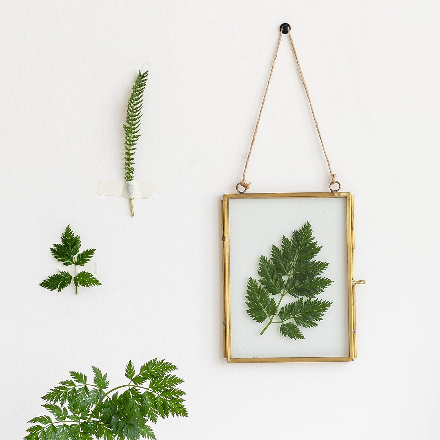 - Double Headed Picture Hanging Nails, 50 Pack, Black, Push Pins for Wall