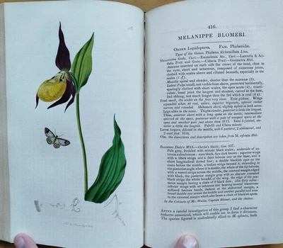 Curtis British Entomology Insekten 95 kolorierte Tafeln 5. Band - 1823 - Bild 1 von 4