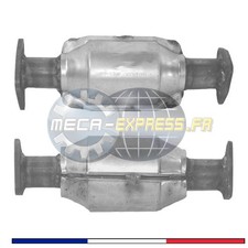 Catalyseurs Rover 618