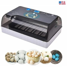 Eggs Incubator 12 Chicken Eggs Hatcher for Chicken Eggs