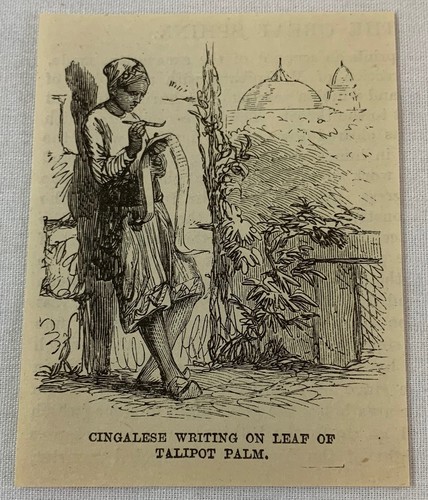 1887 small magazine engraving ~ CINGALESE WRITING, Sri Lanka