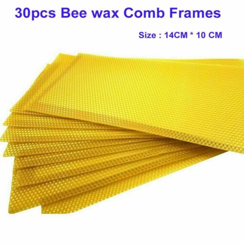 Wax Frames Bee Hive Beekeeper Beeswax DIY Equipmentsweet Furniture-varnishing - Afbeelding 1 van 10