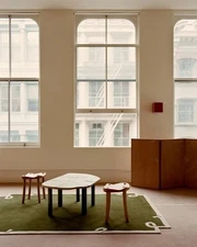 Rug Hand-Tufted Green New handmade new design hand tufted rug area rug nz wool