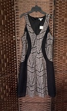 NWT Cato Sleeves Black Dress With Cream Lace Effect Panels