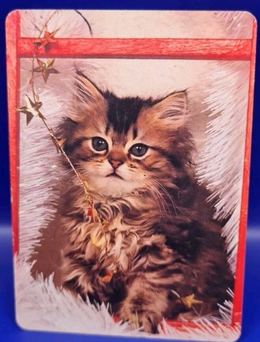 Beautiful Cat Modern swap card, Wide Playing Back. Exc cond.
