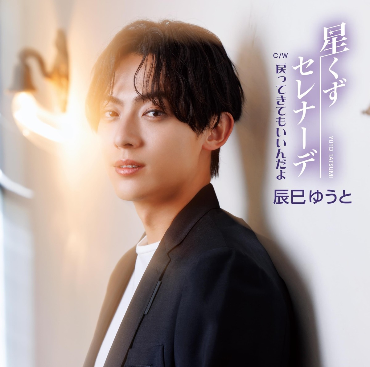 CD] Hoshikuzu Serenade Type D Nomal Edition Yuuto Tatsumi VICL