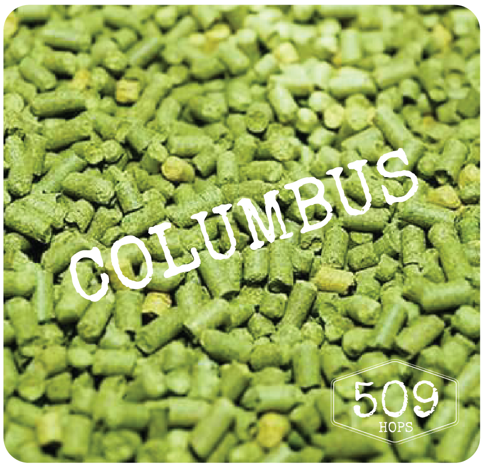 Columbus Hop Pellets 8 oz for Home Brew 509hops