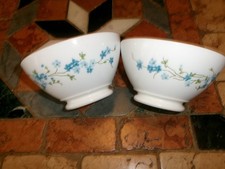 2 bols ARCOPAL Myosotis Véronica fleurs vintage 80