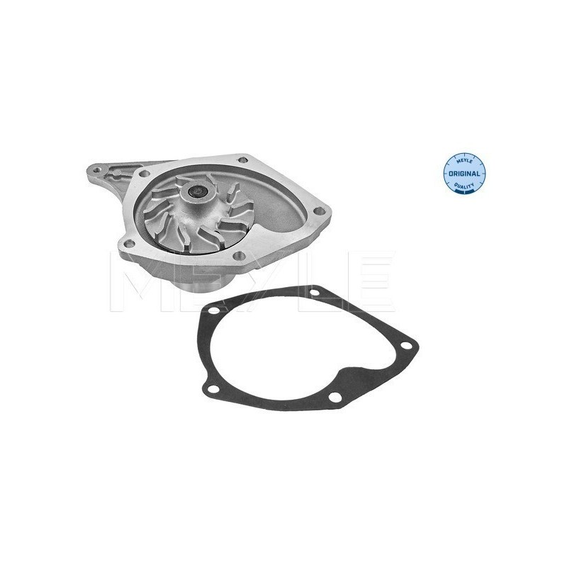 MEYLE 16-13 220 0003 Water Pump for Megane Clio Kangoo Micra Thalia Scenic Almer