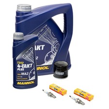 5L Öl Wartungspaket für