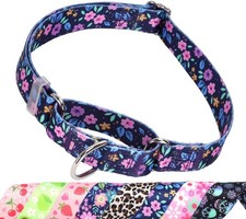 Martingale Dog Collar for Small Medium Large Breed Pet Dogs- Heavy-Duty Train...