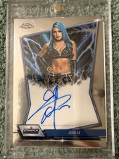 Law of Cards: The Panini and Topps Heavy Metal Battle May End Soon -- or Not 2