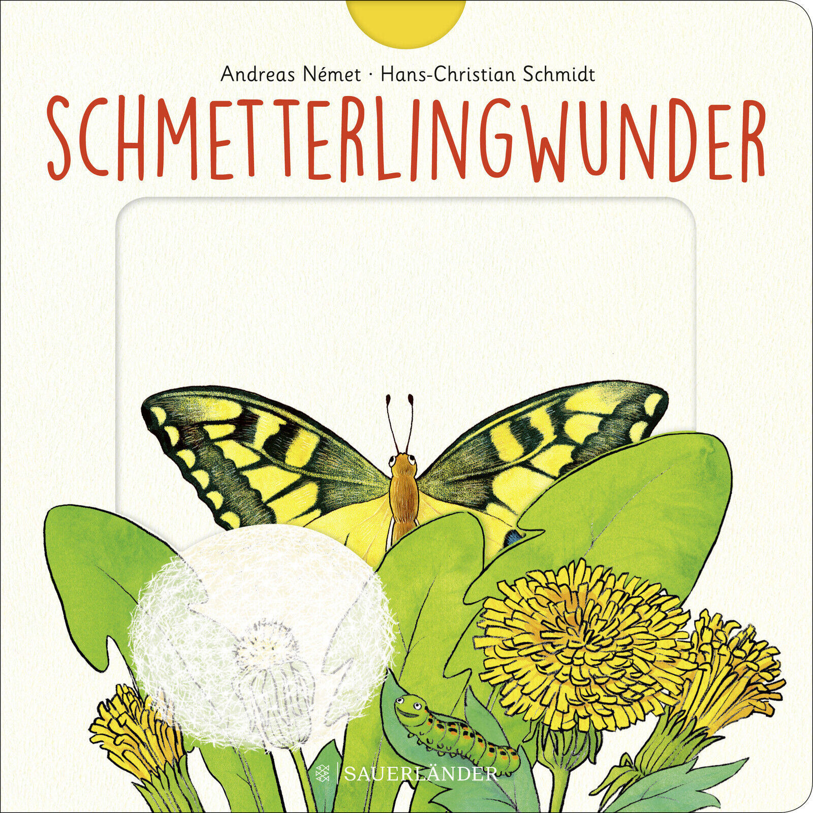 Thumbnail - Hans-christian Schmidt; Andreas Nemet / Schmetterlingwunder