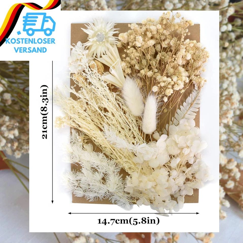 Trockenblumen Zum Basteln Natürliche Getrocknete Blumen Set Weiß Stil DIY Gemisc - Bild 2 von 4