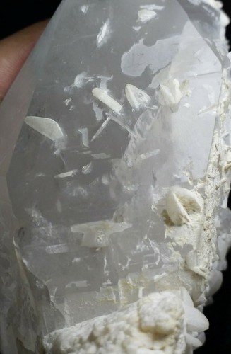 Large Museum Grade Rare Mineral Hambergite Crystals on matrix Quartz- Pak.SB10 - Picture 4 of 12