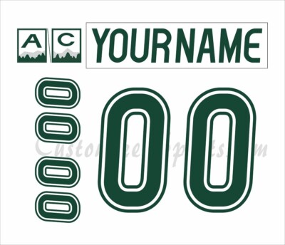 Everett Rls Kit Everett Silvertips Customized Number Kit for 2018-2019 White Uniform | eBay