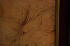 Foto 16 di 24