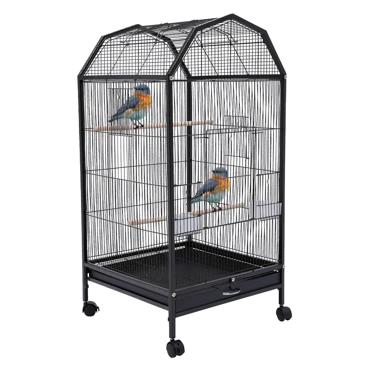 Cockatiel home sales