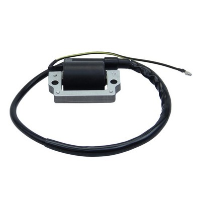 Zünd Spule Zündung Zündspule 6V für Yamaha FS1 DX Cappy LB50 RD DT 50 80 125