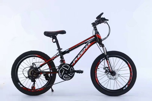 Phoenix 20/22 Inch Road Mountain Bike Kid Child Bicycle 21 Speed Dual Disc Brake - Picture 17 of 22