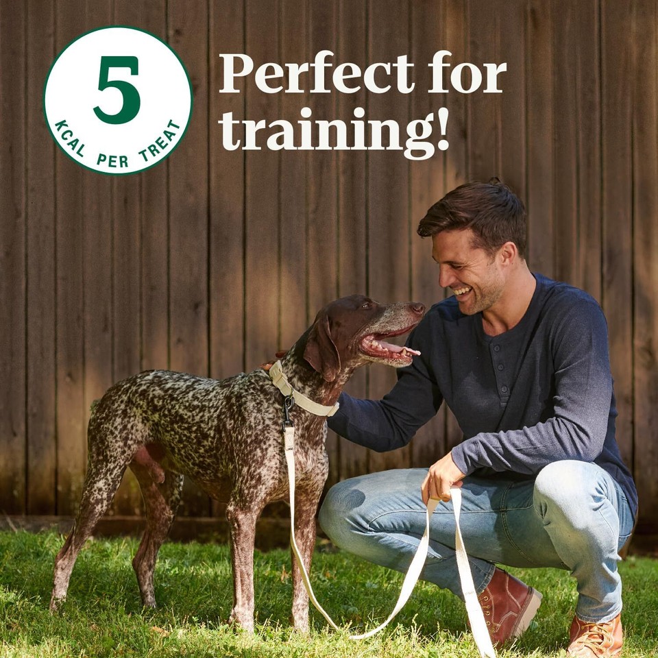 NUTRO Crunchy Dog Treats with Real Peanut Butter, 10 oz. Bag eBay