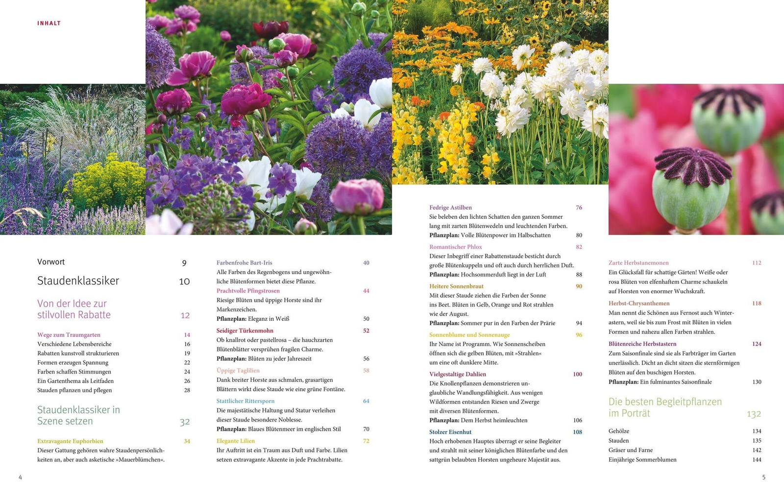 Thumbnail - Ganzjährig Attraktive Beete Mit Blatt Und Blüte Ute Bauer