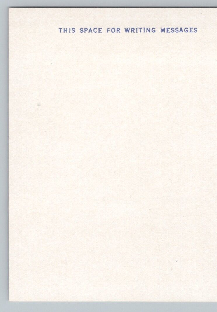 Postcard New Iberia Louisiana Mt Carmel Convent Large Oak and Spanish