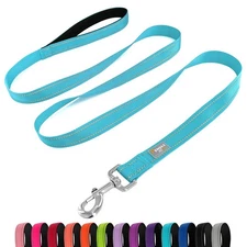 Sky Blue 6 FT Dog Leash with Padded Handle Nylon Reflective Dogs Leashes