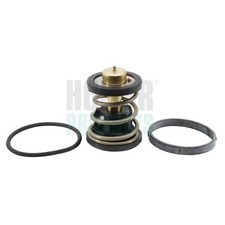 Thermostat BMW 3,0