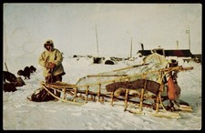 1950s Stefan Roland Edmonton Alberta Arctic Eskimo Inuit Dog Sled Postcard