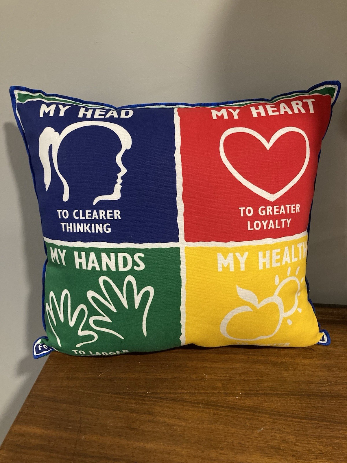 4-H  4H Pillow Complete Country Girl Farmhouse Hearts Hands Motto 15” X 15”