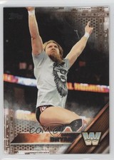 2016 Topps WWE Then Now Forever Bronze Daniel Bryan #161 4h2