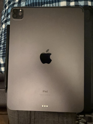 Apple iPad Pro 11in (2nd Gen) 256GB Gray Wi-Fi Unlocked Tablet