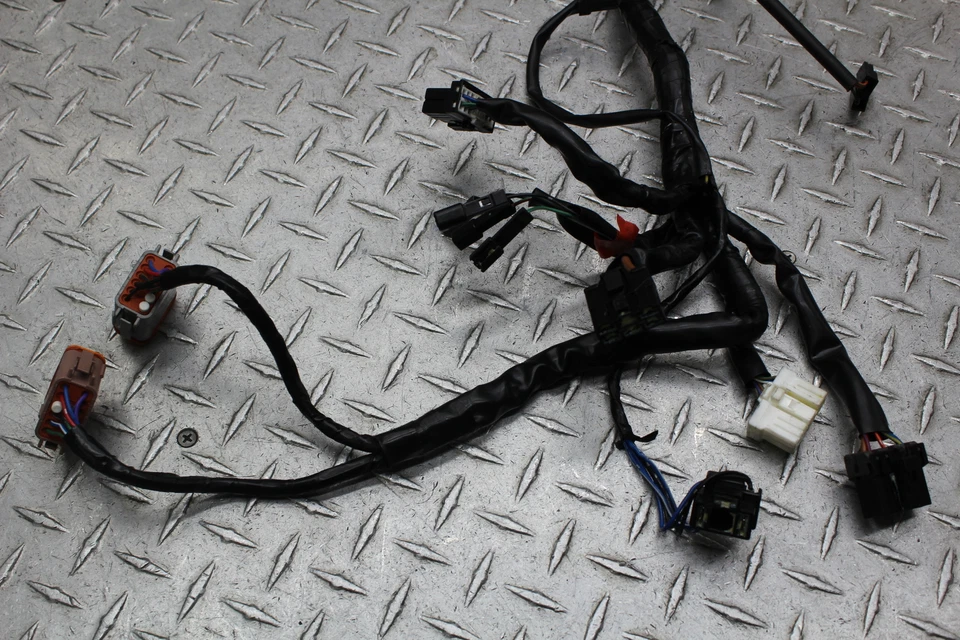 Triumph Bonneville T100 2016 arnés de cableado del motor principal T2506660 Foto 2 de 4