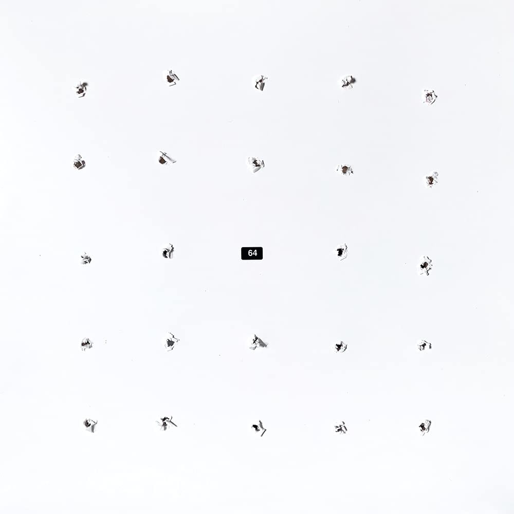 William Ian Craig and Kago Split Series 24 LP Vinyl 12FAT109 NEW