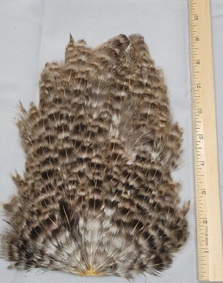 Lot 335,  Natural Hen Back Saddle Soft Hackle Feathers for Fly Tying