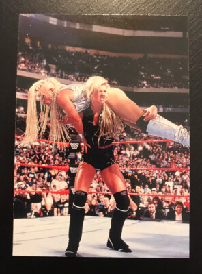 1998 Comic Images WWF Superstarz WWE SABLE Card #22 WWE Brock
